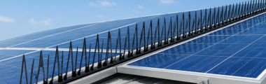 Dissuasori a pettine installati sul perimetro di pannelli fotovoltaici per impedire la nidificazione dei piccioni